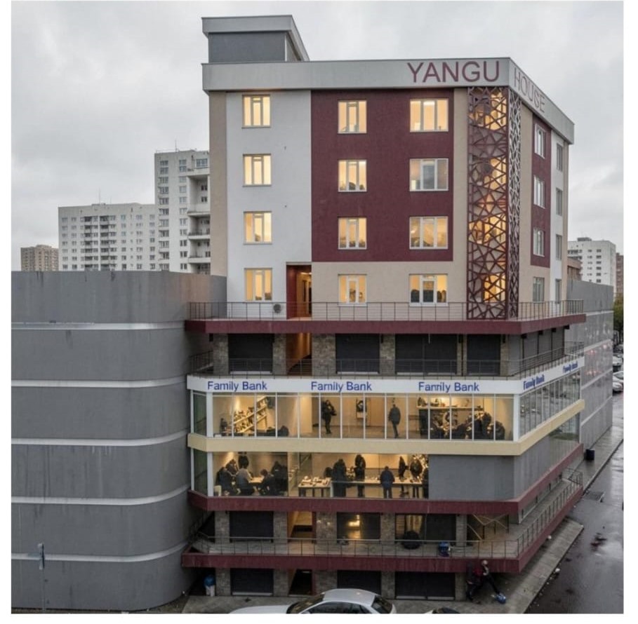 Yangu House side elevation view